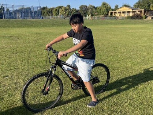 Perfect room in beautiful house 