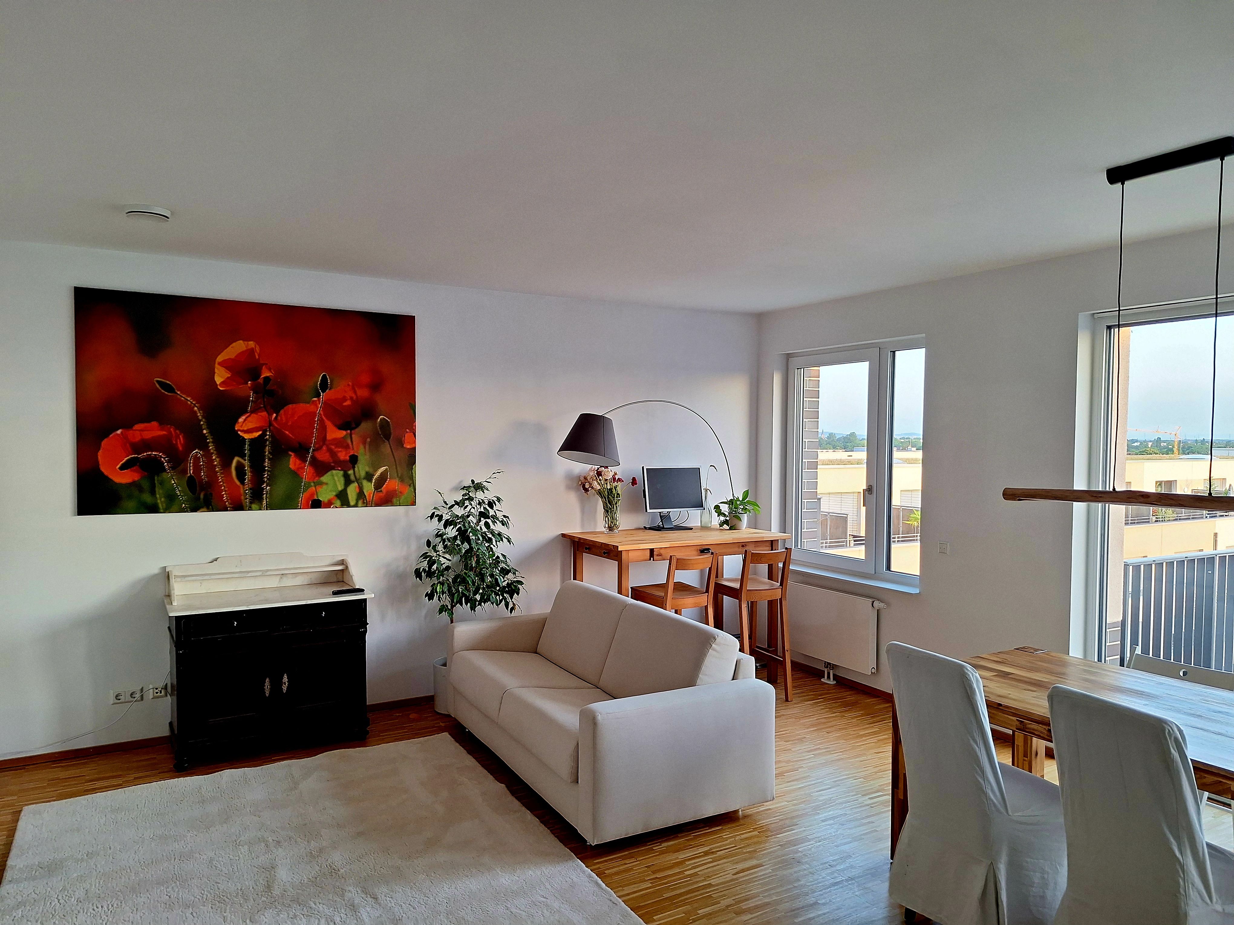  Above The Roofs Of Heidelberg's Bahnstadt  -  Above the roofs of Heidelberg's Bahnstadt  - Gallery -  11