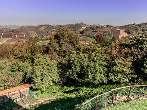 Farmhouse on a hill