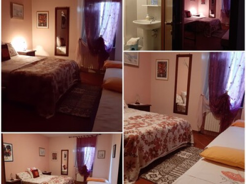 Typical family of the place - Gallery - 11
