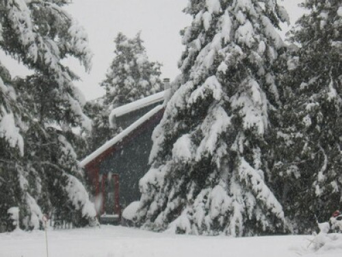 Live on a Hobby Farm