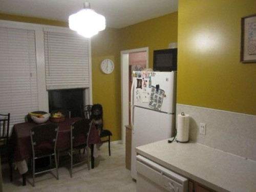 Outdoors family in Downtown Truro