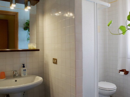 Fan welfare and animal