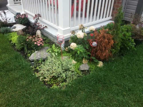 Friendly room quiet neighbourhood