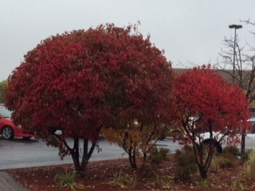 A conducive familial atmosphere