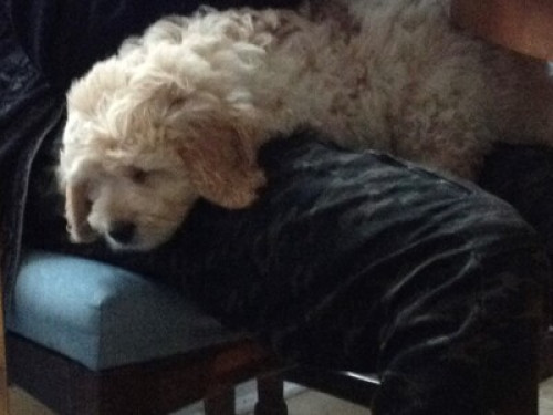 Cozy Room for 1 person