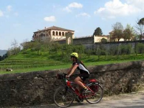 Cozy retreat on Euganean hills.