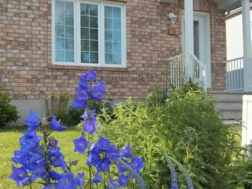 Modern room and bathroom available