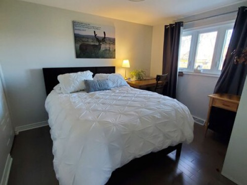 Private, Clean, Bright Bedroom - Gallery - 10