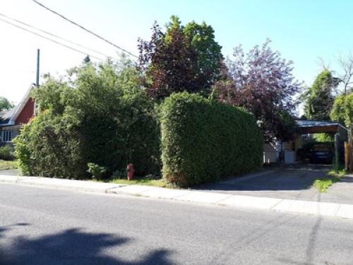 Peaceful haven near Montreal  - Gallery -  5