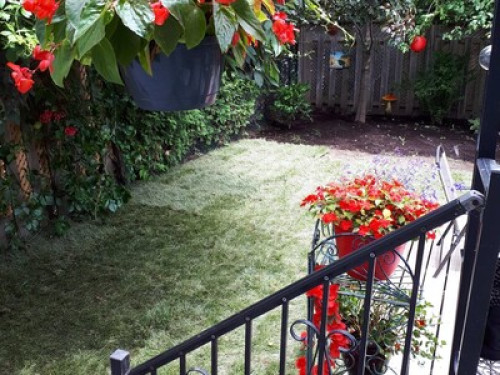 Peaceful haven near Montreal - Gallery - 7