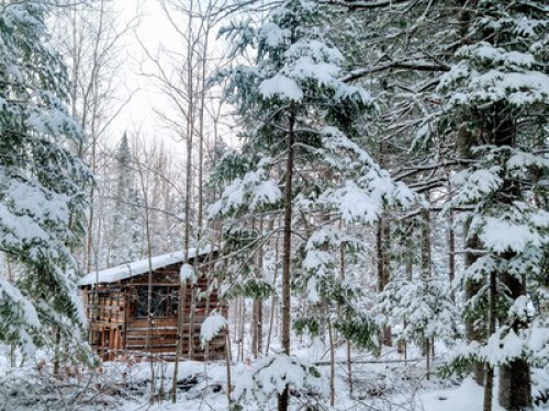 Off-grid homestead  - Gallery - 43