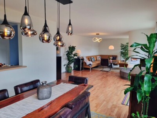 Room in Penthouse flat near Zurich