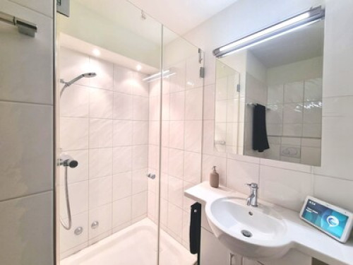 Room in Penthouse flat near Zurich