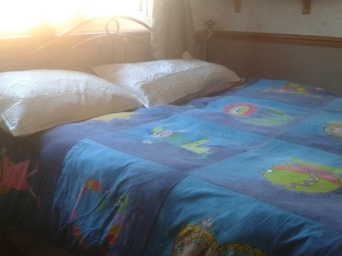 Friendly house to share in Worthing - Gallery - 5
