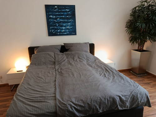 Wonderful and cute studio centrally located