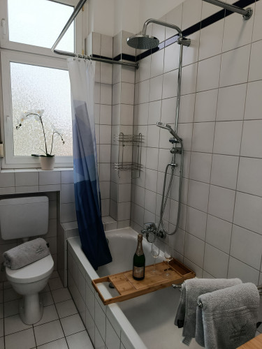 Wonderful and cute studio centrally located - Gallery - 8