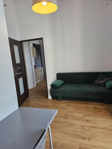Spacious bedroom in 4 bedroom apartment - Gallery - 7