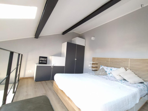 Beautiful loft apartment in Porta Venezia area