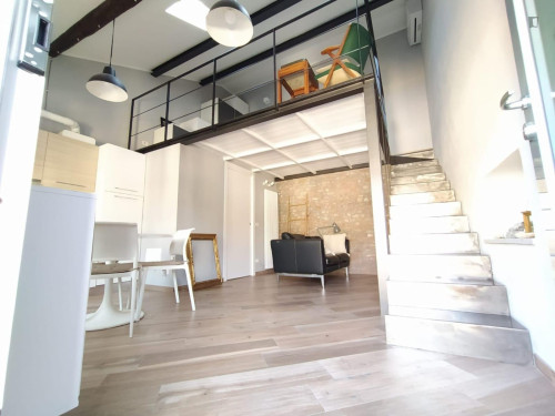 Beautiful loft apartment in Porta Venezia area