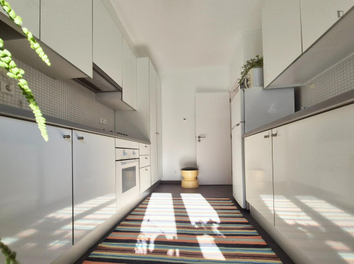 Charming flat next to Jardim da Estrela