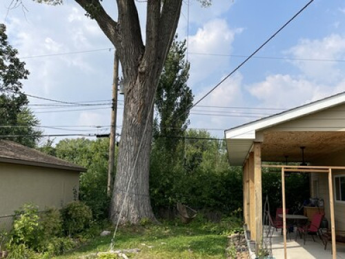 Peaceful & Comfy St. Paul Home