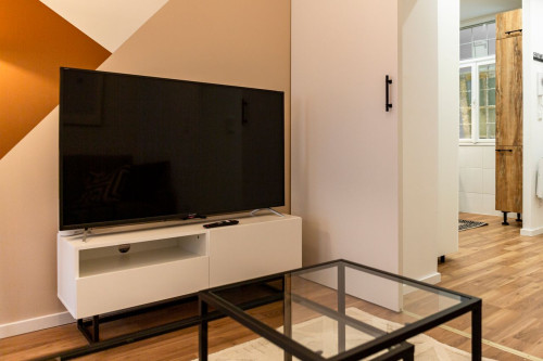 Smart & cozy living in Vienna