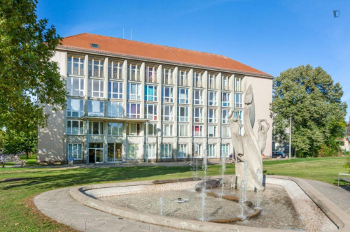 Stylish studio near TU Dresden - Campus Johannstadt - Gallery - 50