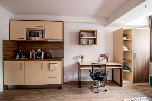 Stylish studio near TU Dresden - Campus Johannstadt - Gallery - 19