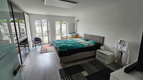 Exclusive Fully Furnished Penthouse Apartment with Rooftop Terrace in the Kupferbergterrassen, Mainz