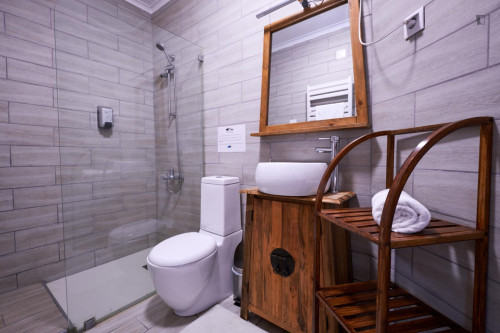 Charming ensuite bedroom in Santa Comba Dão - Gallery - 26