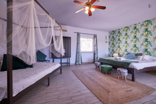Beautiful private room with bathroom in Santa Comba Dão