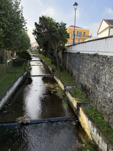 Vibrant Coliving Retreat for Senior Travelers in Serene Ribeirinha Central