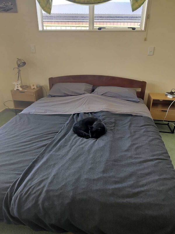 Spare Bedroom(Full Room) - 1