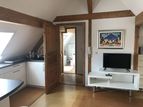 Spacious apartment in rural location in Heidelberg  - Gallery -  5