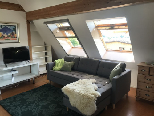 Spacious apartment in rural location in Heidelberg