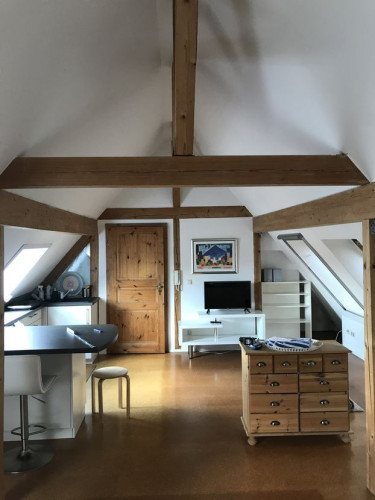 Spacious apartment in rural location in Heidelberg
