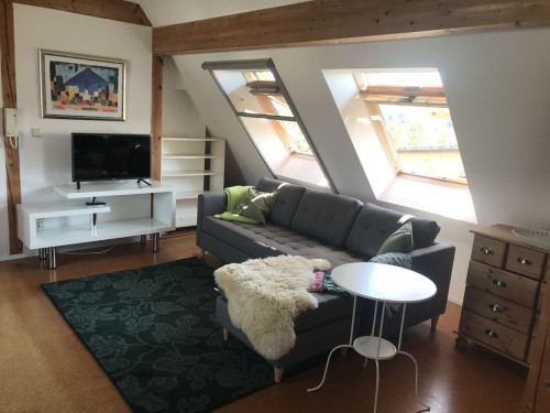 Spacious apartment in rural location in Heidelberg