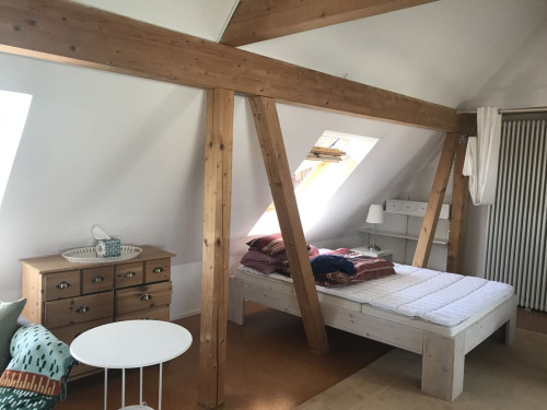 Spacious apartment in rural location in Heidelberg