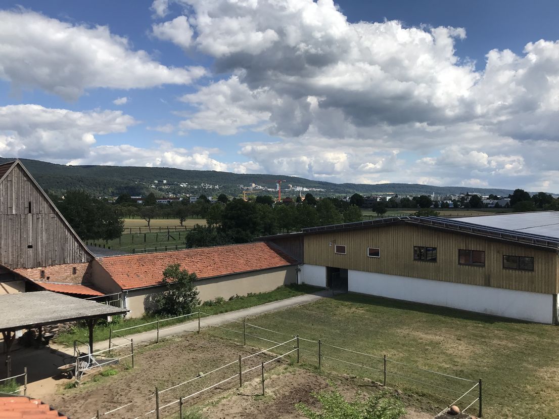  Spacious Apartment In Rural Location In Heidelberg  -  Spacious apartment in rural location in Heidelberg  - Gallery -  2