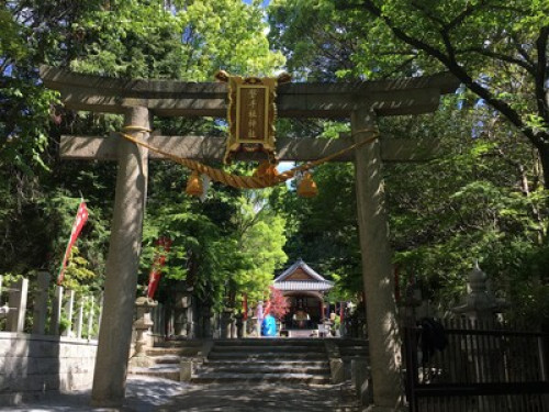 Best Base to Explore Kyoto & Osaka
