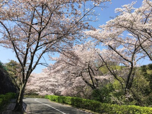 Japanese Family stay + 2 Meals - Gallery - 74