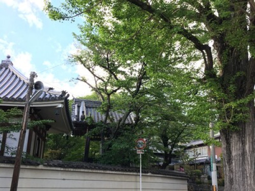 Japanese Family stay + 2 Meals - Gallery - 37