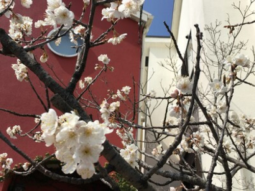 Japanese Family stay + 2 Meals - Gallery - 79