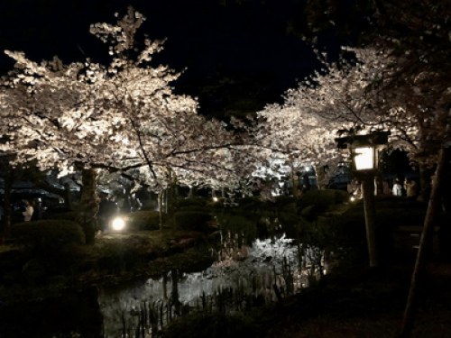 Machiya Trad. House, Large Rooms - Gallery - 11