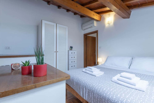 Florence Cozy apartment in central Florence