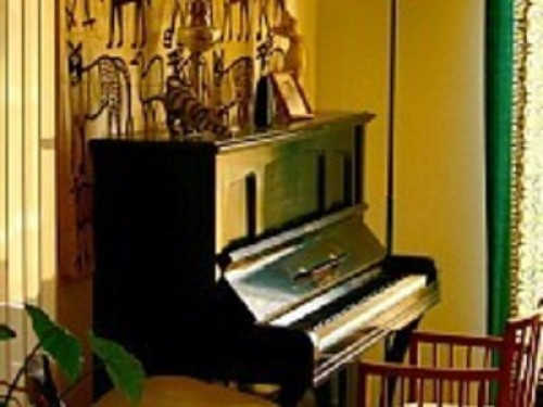 L écrin de verdure sous les étoiles