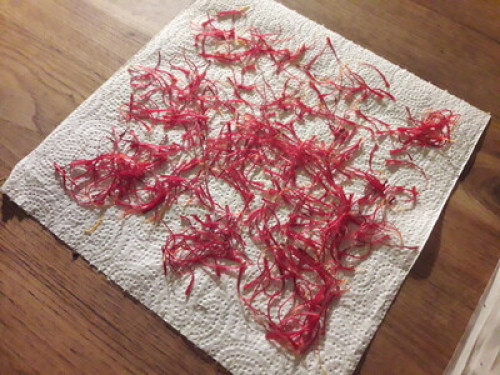 L écrin de verdure sous les étoiles