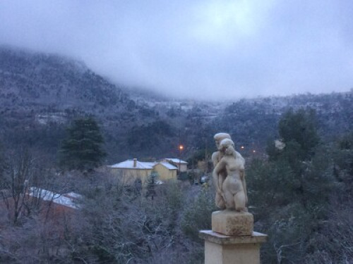 In the middle of the trees under the sun