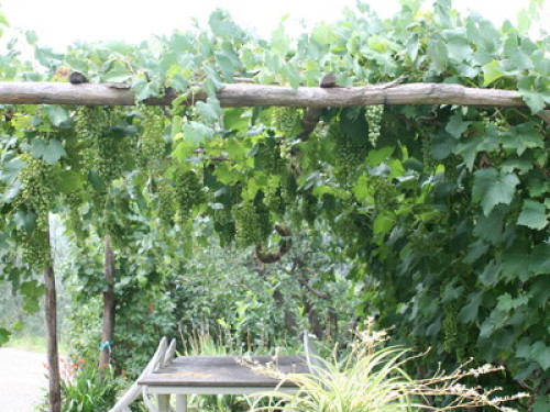 Tuscany, Florence, farmhouse - Gallery - 27